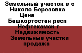 Земельный участок в с.Николо-Березовка › Цена ­ 700 000 - Башкортостан респ., Нефтекамск г. Недвижимость » Земельные участки продажа   